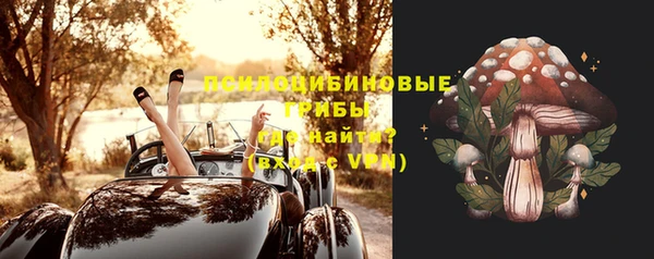 ПСИЛОЦИБИНОВЫЕ ГРИБЫ Балахна