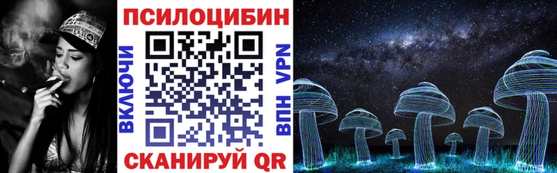 Псилоцибиновые грибы GOLDEN TEACHER  KRAKEN зеркало  Заречный  магазин   